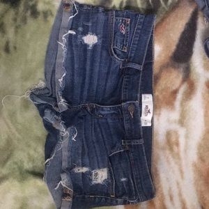 Hollister Shorts